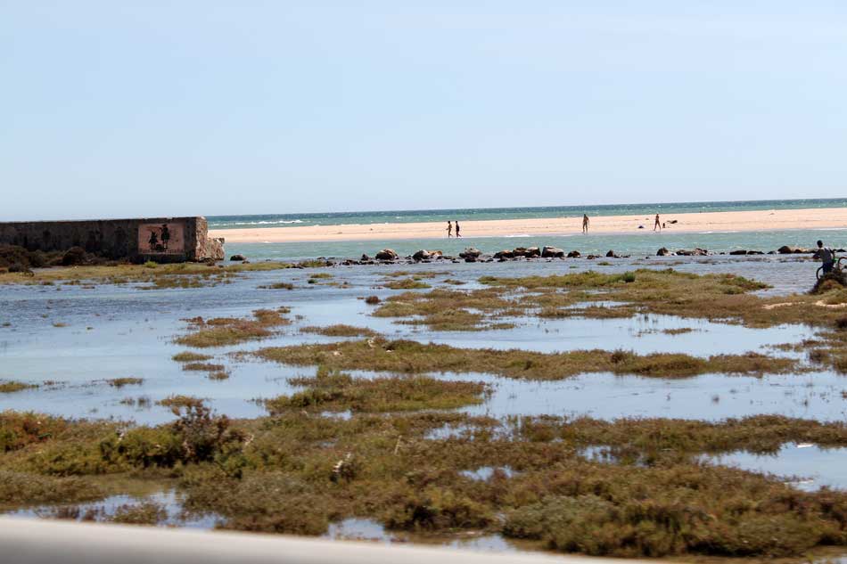 Parque Natural de la Breña y Marismas del Barbate